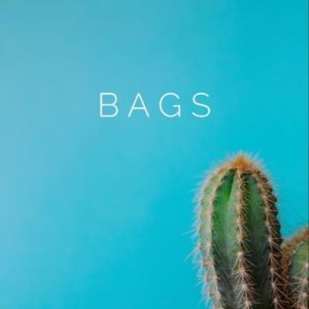 Bags - Picture 1 of 3